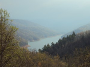 Asheville area