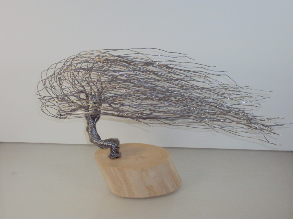 Wire Art - Bonsai Tree Sculptures by Jim Beghtol