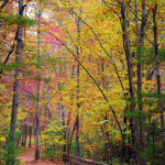 mountain-hiking-trail-romantic-asheville