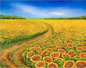 olga-dorenko-sunflowers