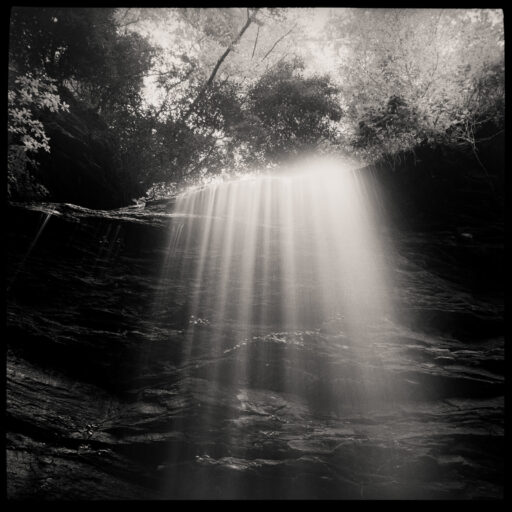 black and white nature photos by Max Cooper [Pinhole Photography]